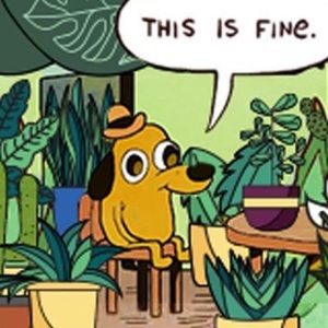 Meet your Posher, Bailey